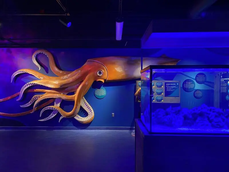 A large octopus sculpture on a blue wall.