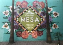 40+ Things to Do in Mesa: Ultimate Fun Guide