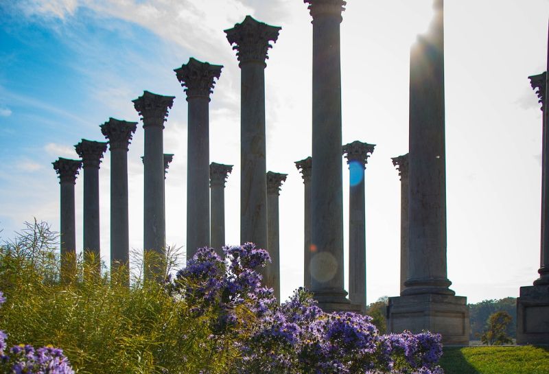 United States National Arboretum image