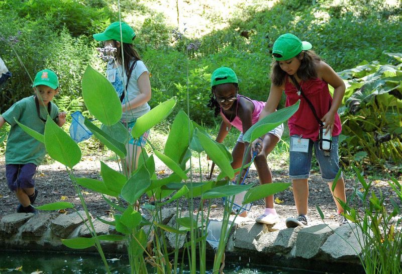 kids at work at the Tregaron Conservancy