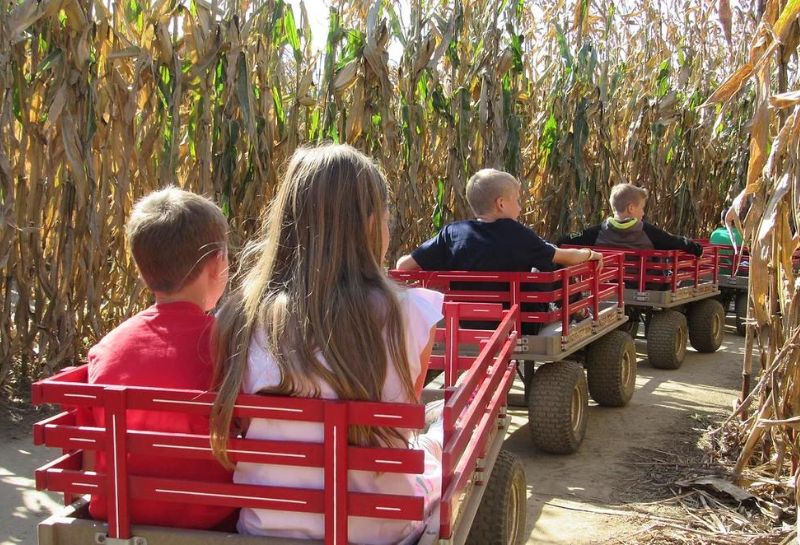 kids enjoying wagon ride at the Crest Adventure Farm