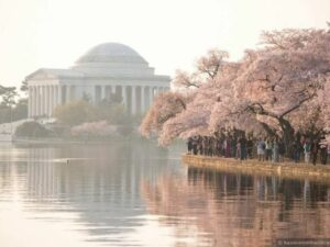 61 Things to Do in Spring in Washington DC (& DC Metro Area)