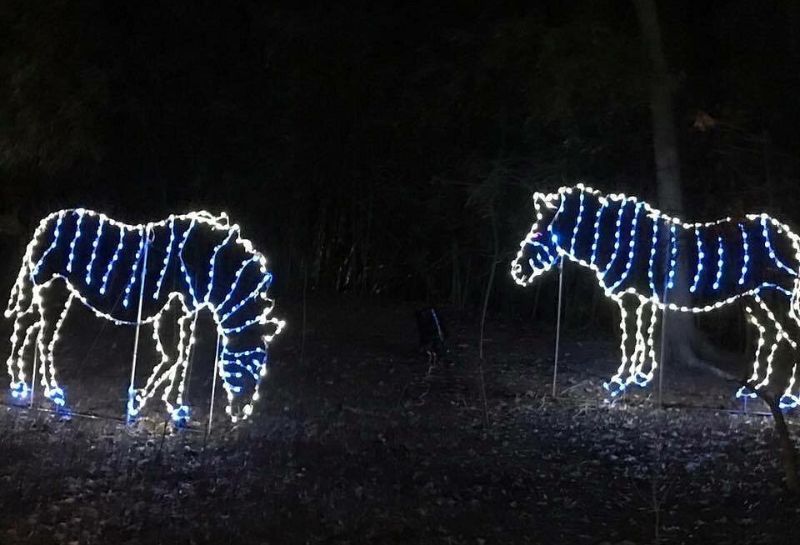 Zoolights animals lit up